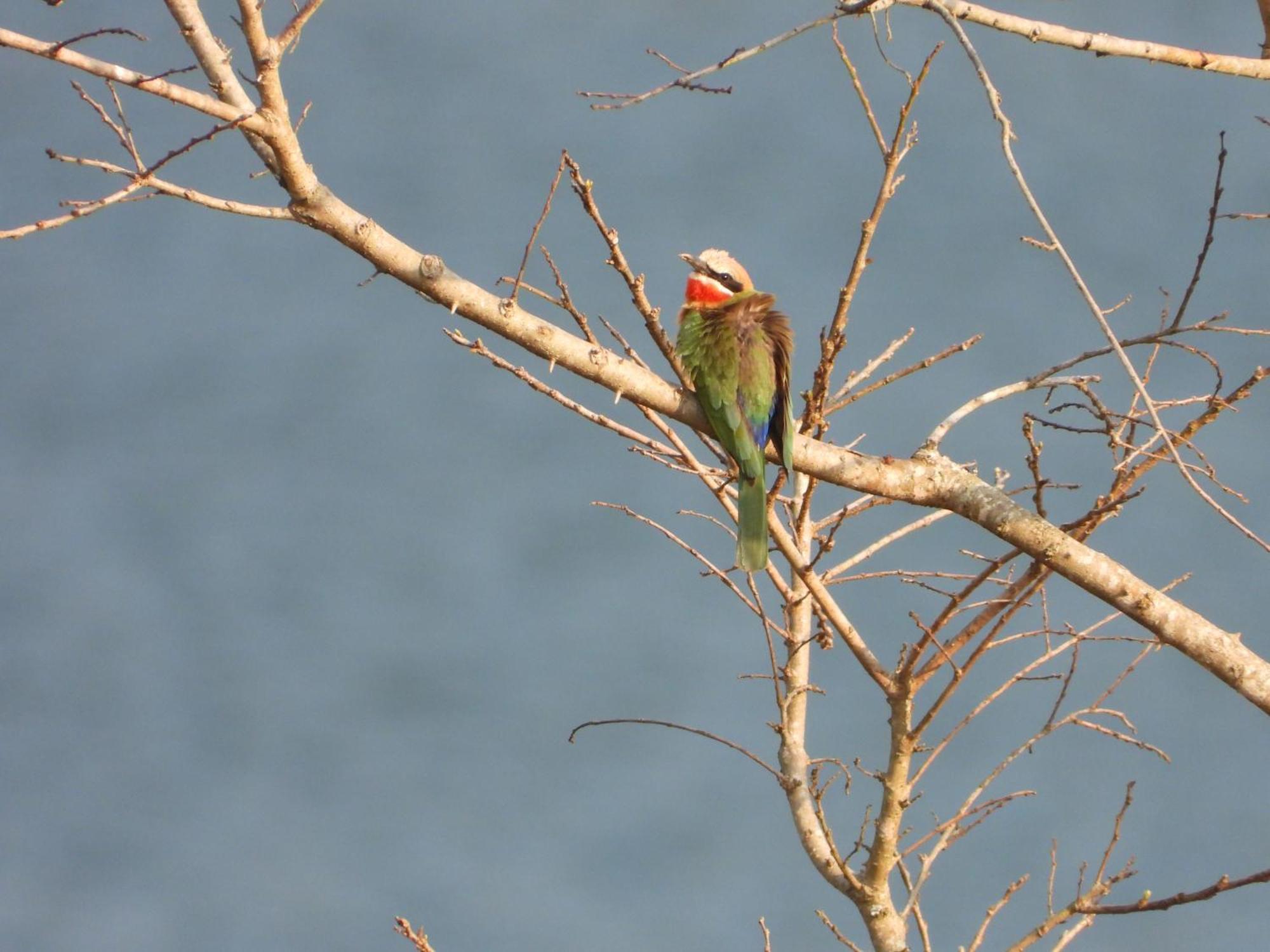 Dagama Dam - White River - Kestrel - House 21 Dış mekan fotoğraf